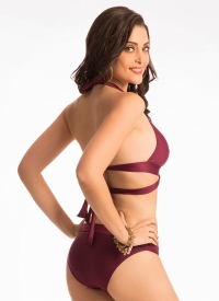 Wine V-Neck Bikini Set