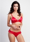 Red Chiffon Frill Bra